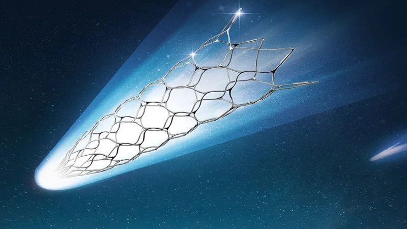 自膨式顱內(nèi)藥物洗脫支架系統(tǒng)（利蘭生物）